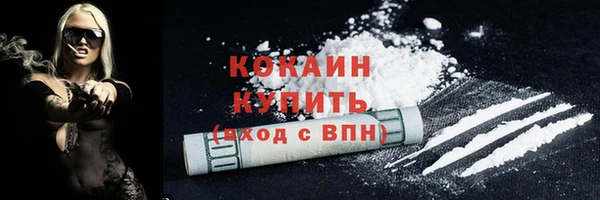 ГАЛЛЮЦИНОГЕННЫЕ ГРИБЫ Коряжма