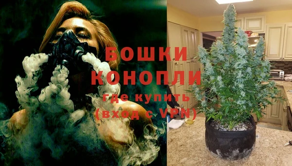 ГАЛЛЮЦИНОГЕННЫЕ ГРИБЫ Коряжма