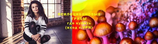 MDMA Кукмор