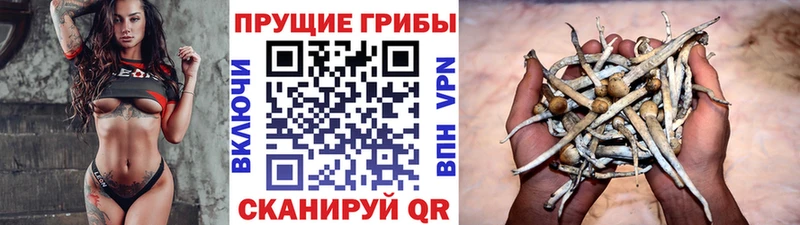Псилоцибиновые грибы прущие грибы  наркотики  Чудово 