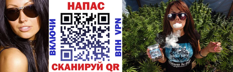 Канабис план  Чудово 